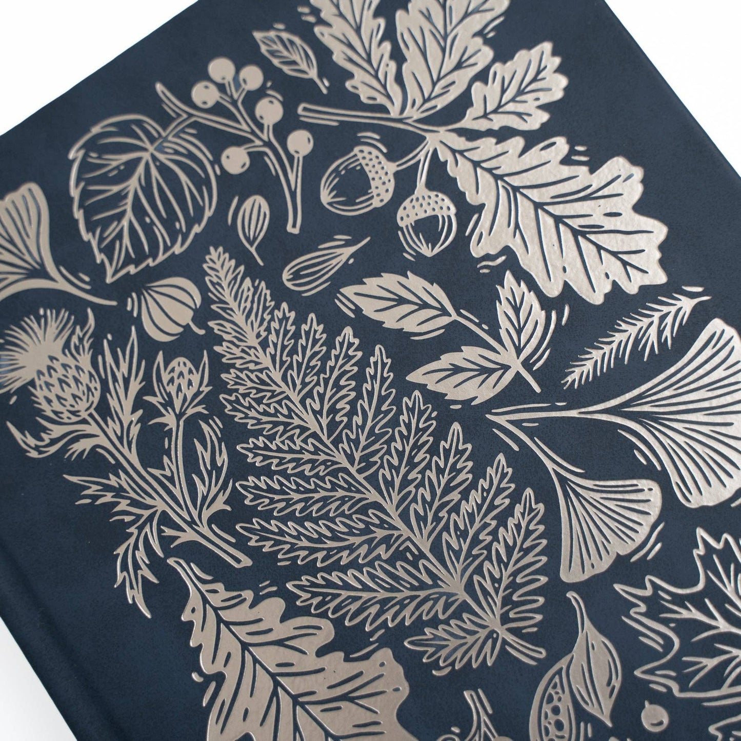 Archer and Olive - A5 Lined: Forest Impressions