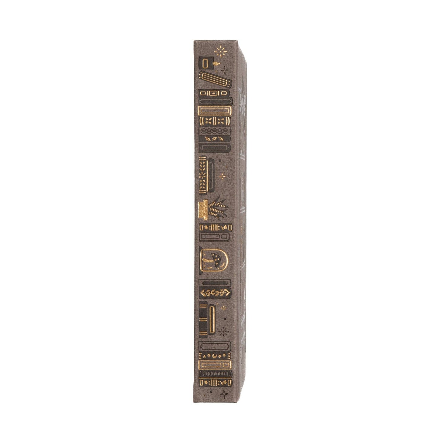 Archer and Olive - A5 Lined: Bookshelf