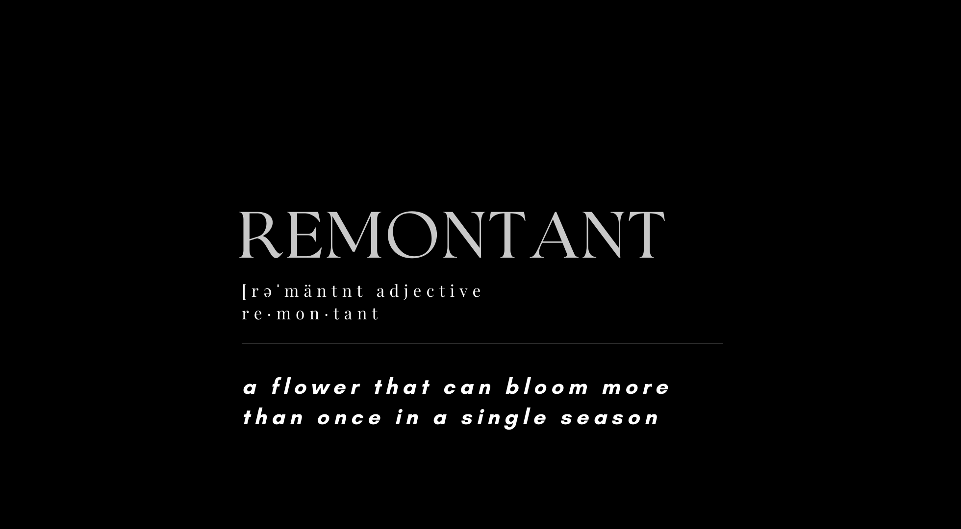 Load video: The Remontant Brands Origin Story