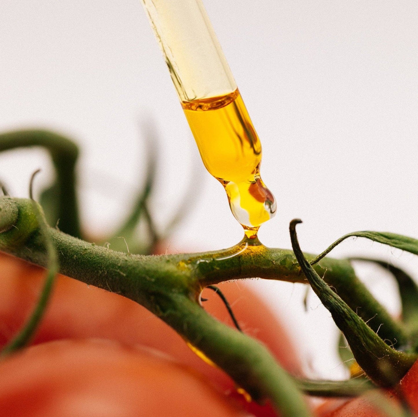 ONYX + PETAL - Face Glow Radiant-Aging Serum