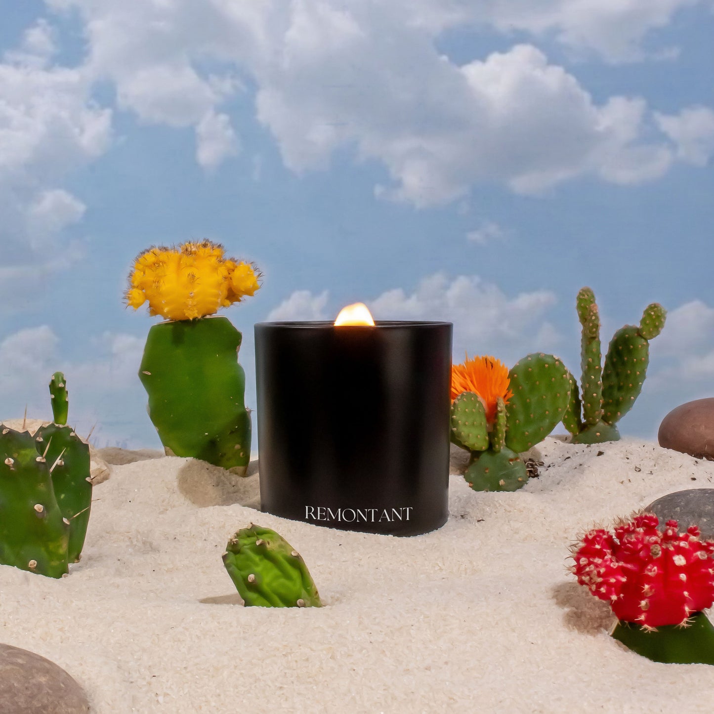 Desert Day Candle | Cactus ~ Geranium ~ Pink Pepper | Wood Wick Candle