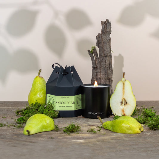Anjou Pear | Pear ~ Sumac ~ Guaiacwood | Wood Wick Candle