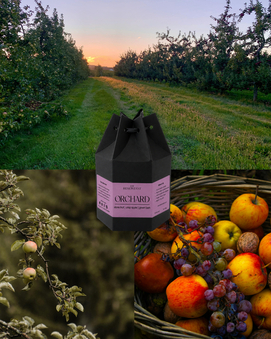 Orchard Candle | Stone Fruit ~ Crisp Apple ~ Green Bark | Wood Wick Candle