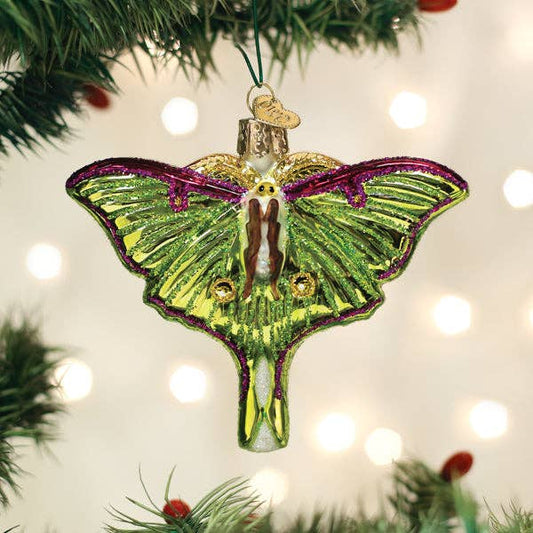 Old World Christmas - Luna Moth Ornament: 12665 / 12_10_6_12.5_S / 3.5 X 4 X 1