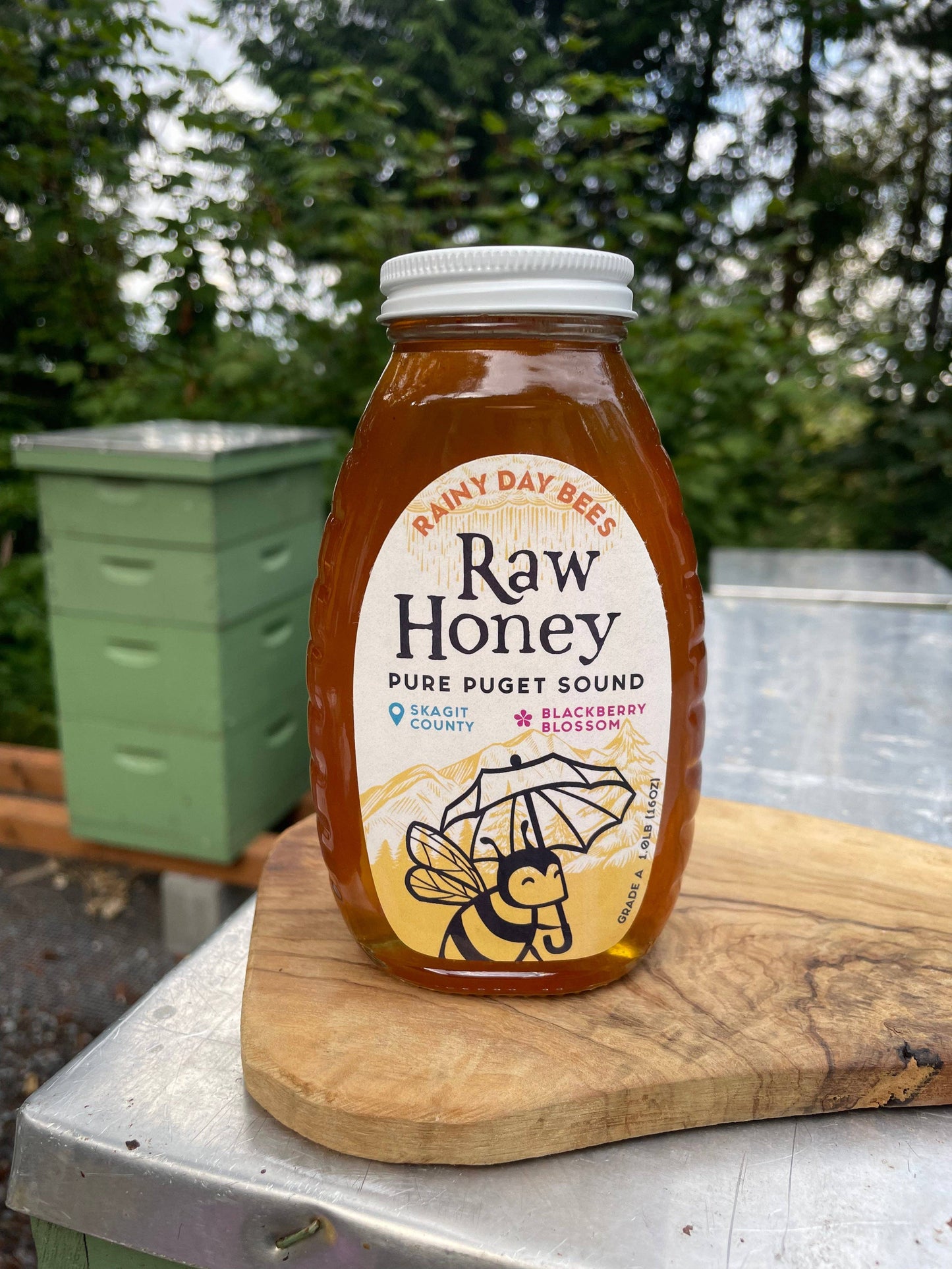 Rainy Day Bees - Pure Puget Sound Honey - Glass: 0.5 lb / Skagit County Blackberry Blossom